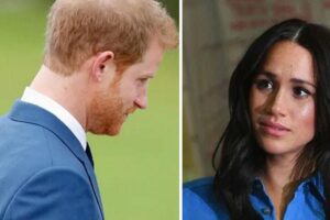 prince-harry,-meghan-markle-realizing-there-ae˜aren’t-enough-hours’-daily-for-their-marriage
