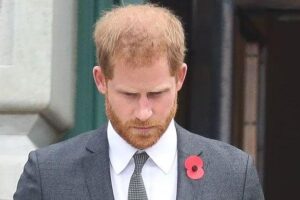 prince-harry-is-questioned-over-bodyguards-after-viral-video