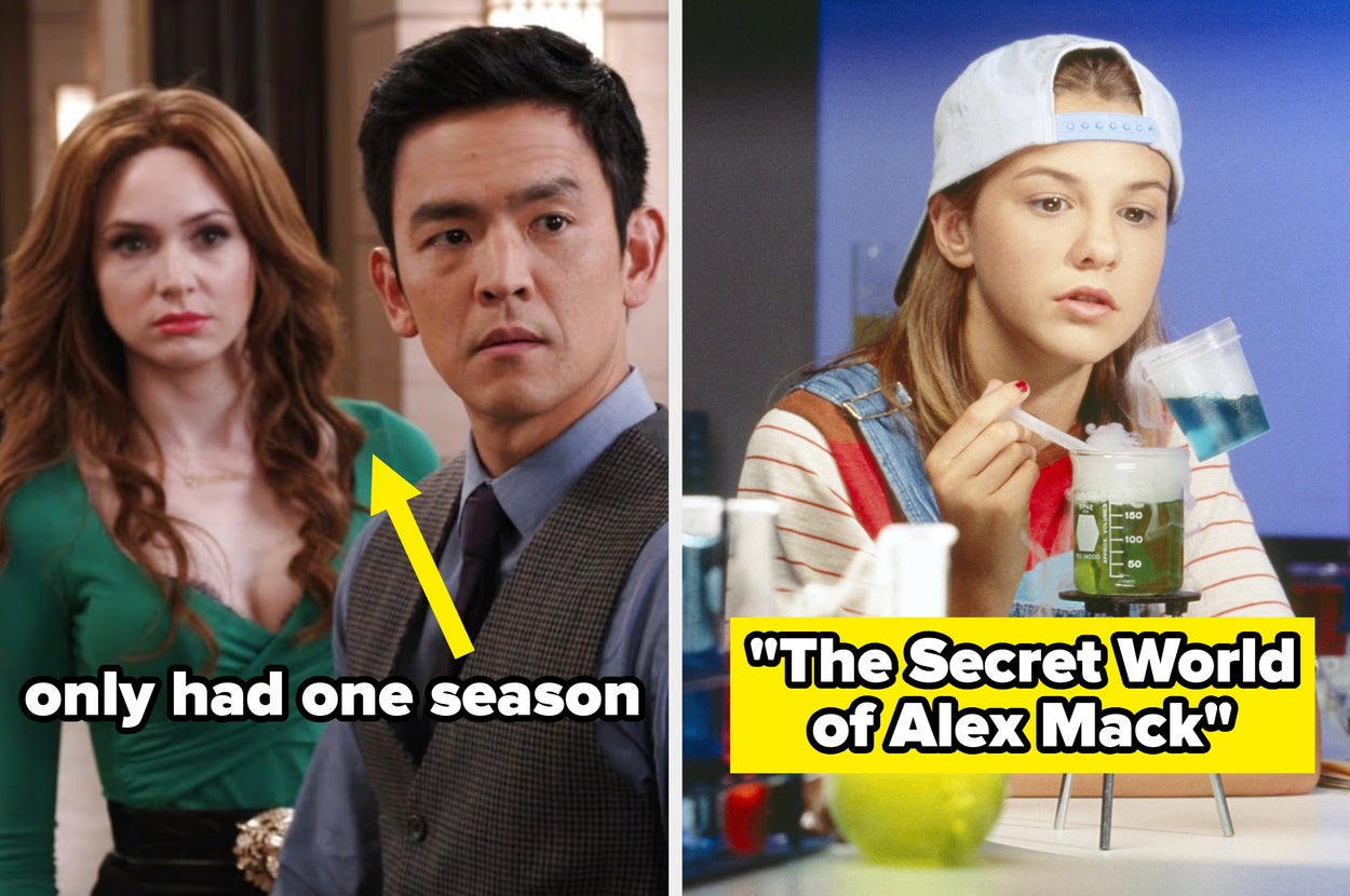 what’s-a-tv-show-that-you-used-to-love-but-no-one-else-remembers?