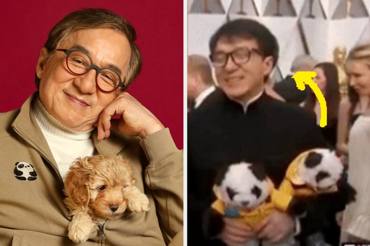 these-one-of-a-kind-photos-of-jackie-chan-playing-with-puppies-will-blow-your-mind